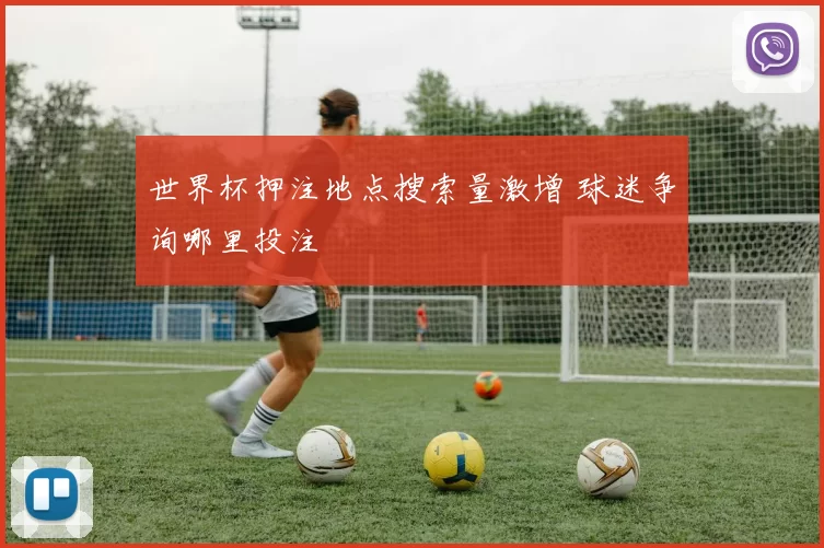 世界杯押注地点搜索量激增 球迷争询哪里投注