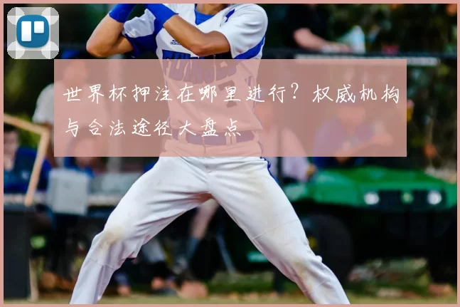世界杯押注在哪里进行?权威机构与合法途径大盘点