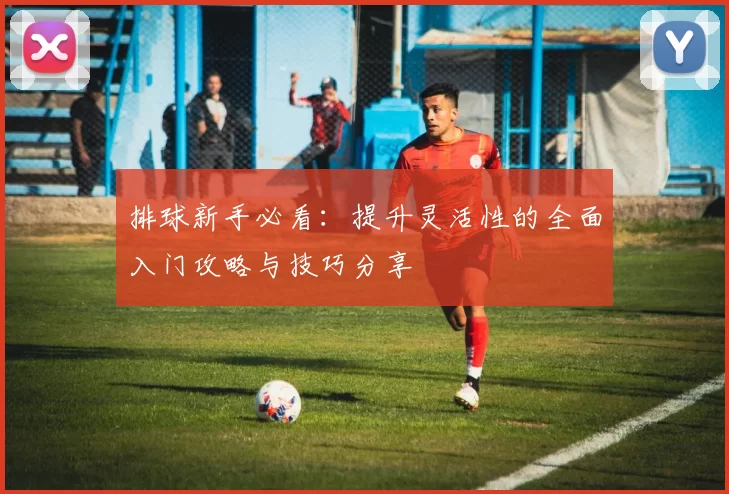 排球新手必看:提升灵活性的全面入门攻略与技巧分享