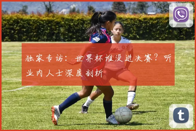 独家专访:世界杯谁没进决赛?听业内人士深度剖析