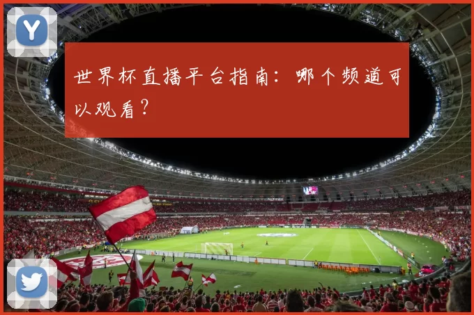 世界杯直播平台指南:哪个频道可以观看?