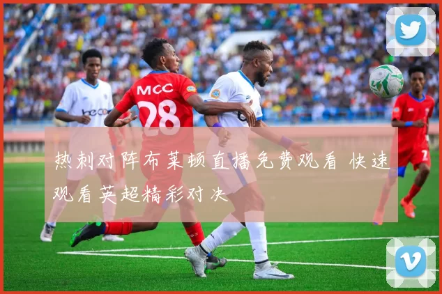 热刺对阵布莱顿直播免费观看 快速观看英超精彩对决