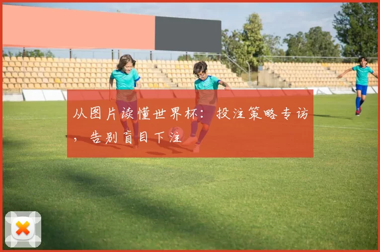 从图片读懂世界杯:投注策略专访,告别盲目下注