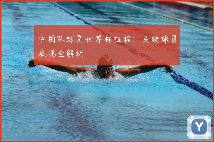 中国队球员世界杯征程：关键球员表现全解析
