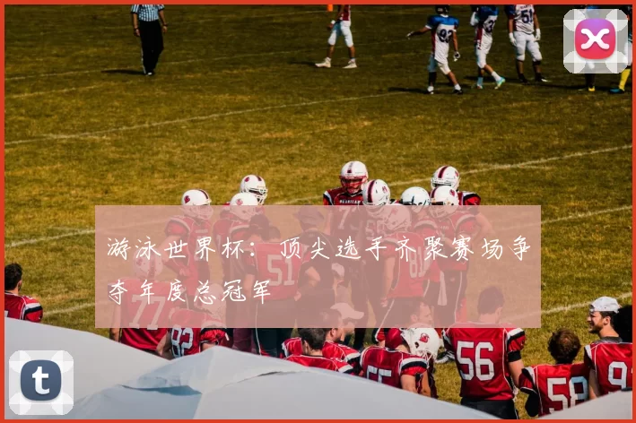 游泳世界杯:顶尖选手齐聚赛场争夺年度总冠军