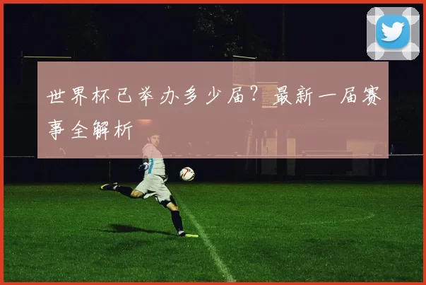 世界杯已举办多少届?最新一届赛事全解析