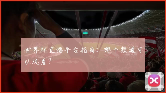 世界杯直播平台指南:哪个频道可以观看?