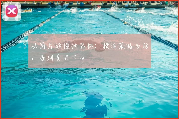 从图片读懂世界杯:投注策略专访,告别盲目下注